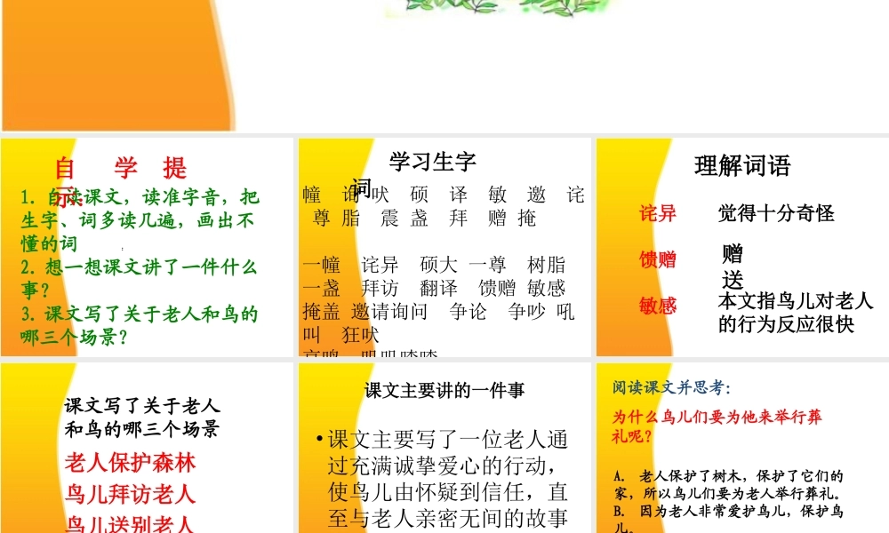 9.老人和鸟