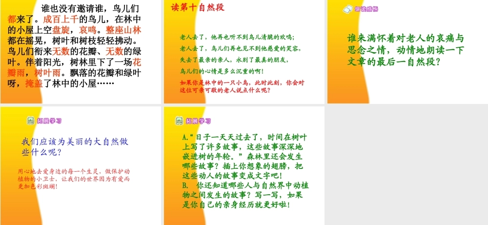 9.老人和鸟