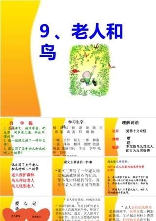 9.老人和鸟