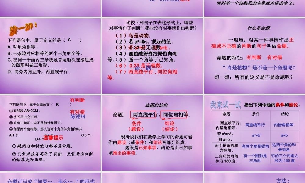 八年级数学上册 1.2 定义与命题课件1 (新版)浙教版 课件