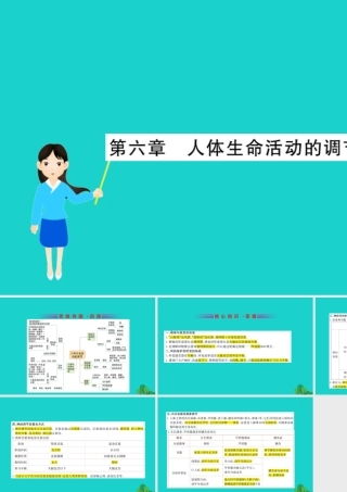 七年级生物下册 期末抢分必胜课 第一部分 主干知识速记 第四单元 第六章 人体生命活动的调节课件(新版)新人教版 课件