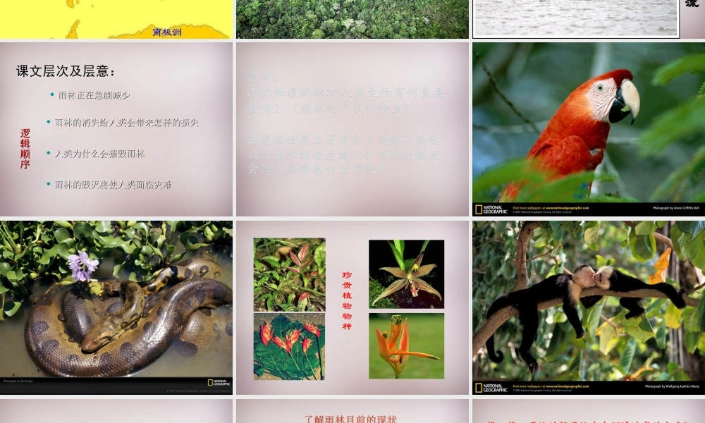 八年级语文上册 第五单元 第18课(雨林的毁灭—世界性灾难)课件 (新版)语文版 课件