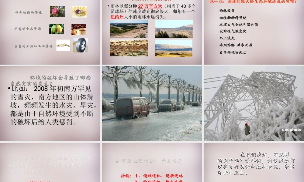 八年级语文上册 第五单元 第18课(雨林的毁灭—世界性灾难)课件 (新版)语文版 课件