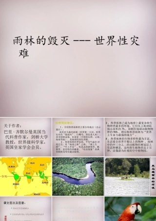 八年级语文上册 第五单元 第18课(雨林的毁灭—世界性灾难)课件 (新版)语文版 课件