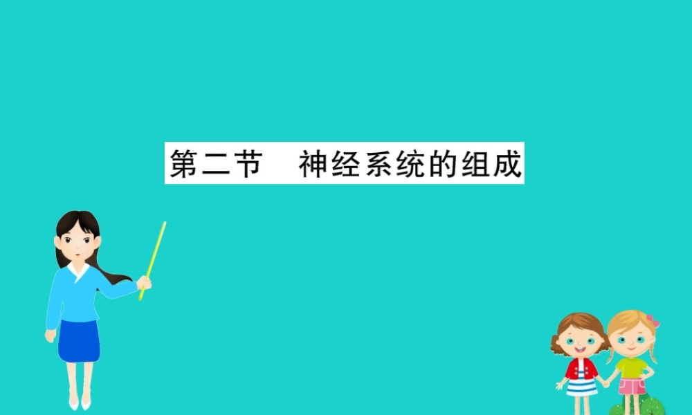 七年级生物下册 4.6.2 神经系统的组成习题课件(新版)新人教版 课件