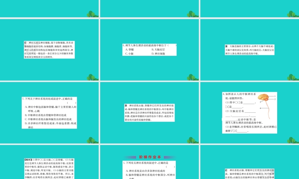 七年级生物下册 4.6.2 神经系统的组成习题课件(新版)新人教版 课件