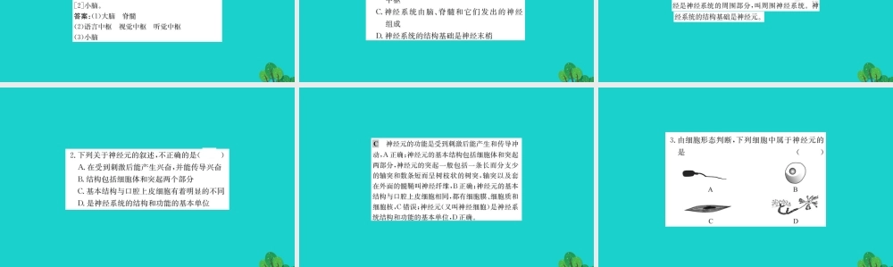 七年级生物下册 4.6.2 神经系统的组成习题课件(新版)新人教版 课件