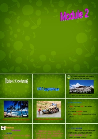 八年级英语下册(Module 2 Unit 3 Language in use)课件 (新版)外研版 课件