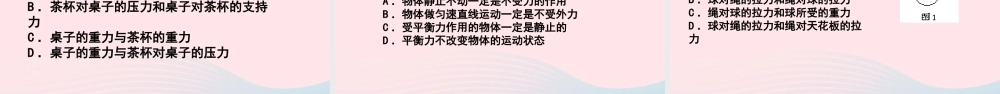 八年级物理下册 8.2 二力平衡课件 (新版)新人教版 课件