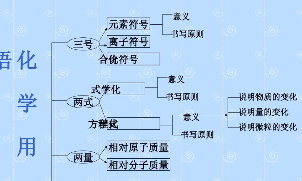 初三化学专题复习 化学用语 课件