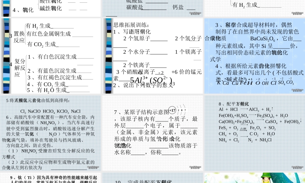初三化学专题复习 化学用语 课件