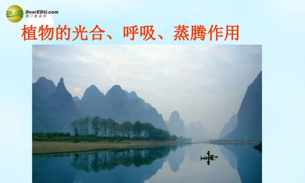 中学七年级生物上册 植物三大作用复习课件 新人教版 课件