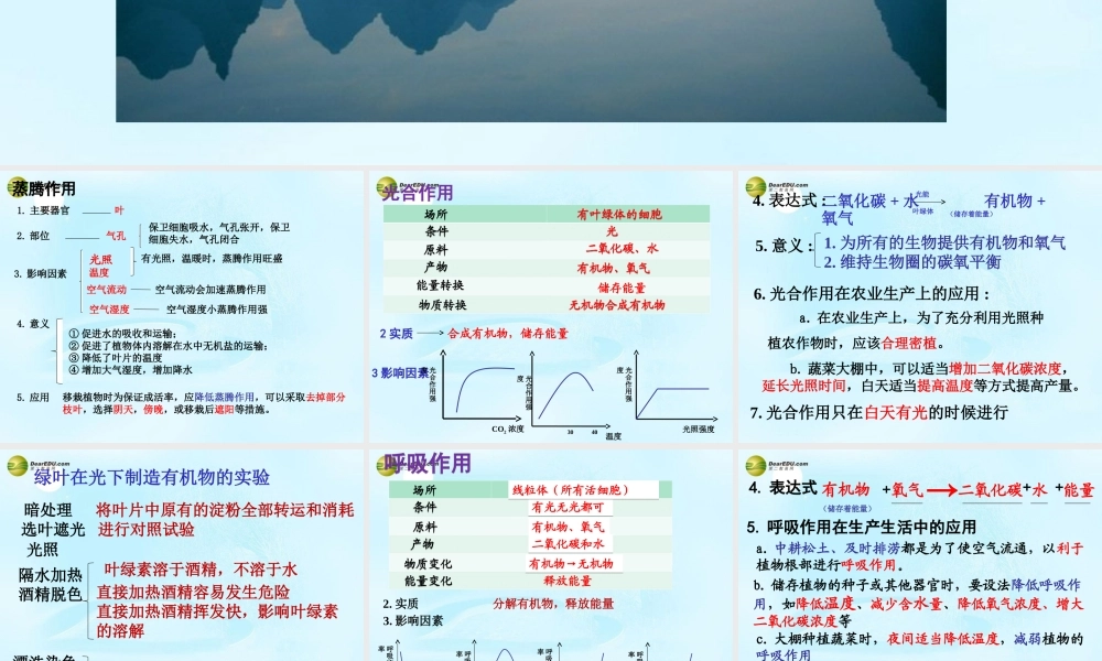 中学七年级生物上册 植物三大作用复习课件 新人教版 课件