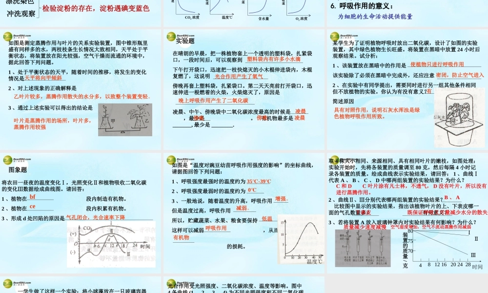 中学七年级生物上册 植物三大作用复习课件 新人教版 课件
