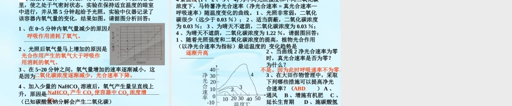 中学七年级生物上册 植物三大作用复习课件 新人教版 课件