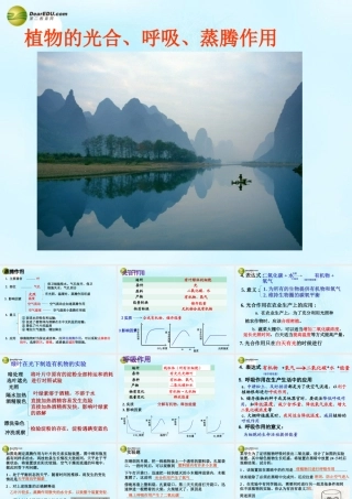 中学七年级生物上册 植物三大作用复习课件 新人教版 课件
