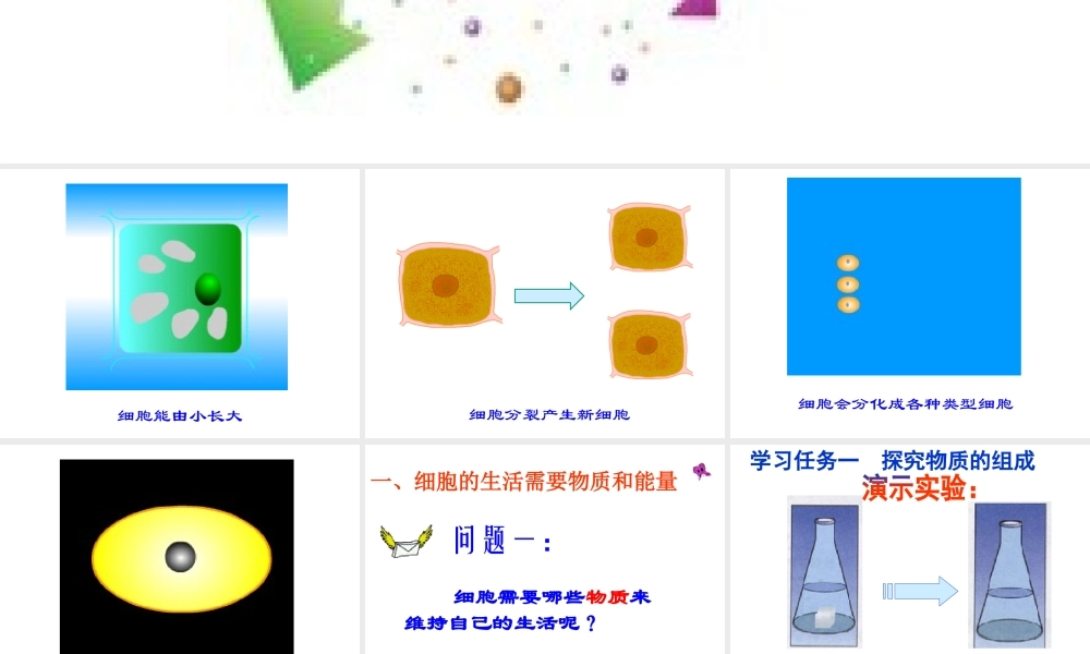 科学·技术·社会-克隆哺乳动物