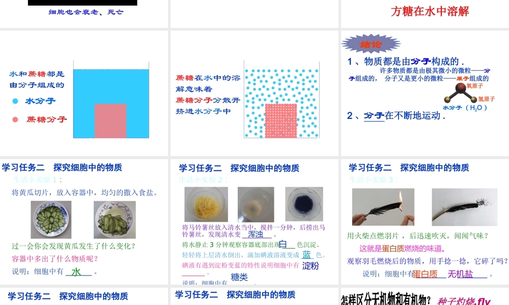 科学·技术·社会-克隆哺乳动物