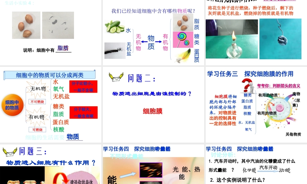 科学·技术·社会-克隆哺乳动物