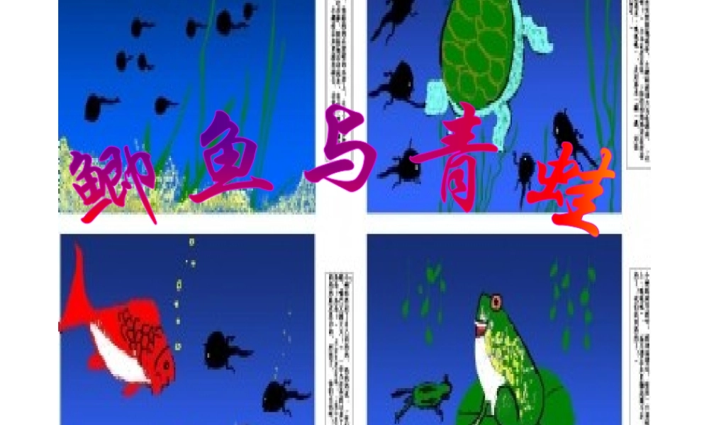 9鲫鱼与青蛙