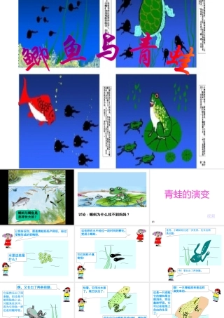 9鲫鱼与青蛙