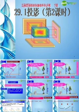 九年级数学下册 291投影(第2课时)课件 人教新课标版 课件
