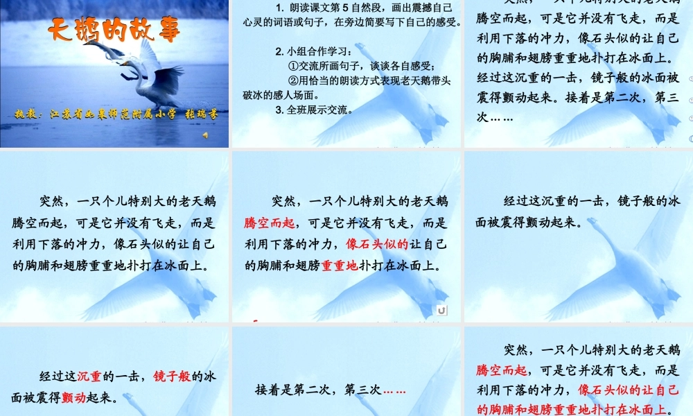 天鹅的故事课件