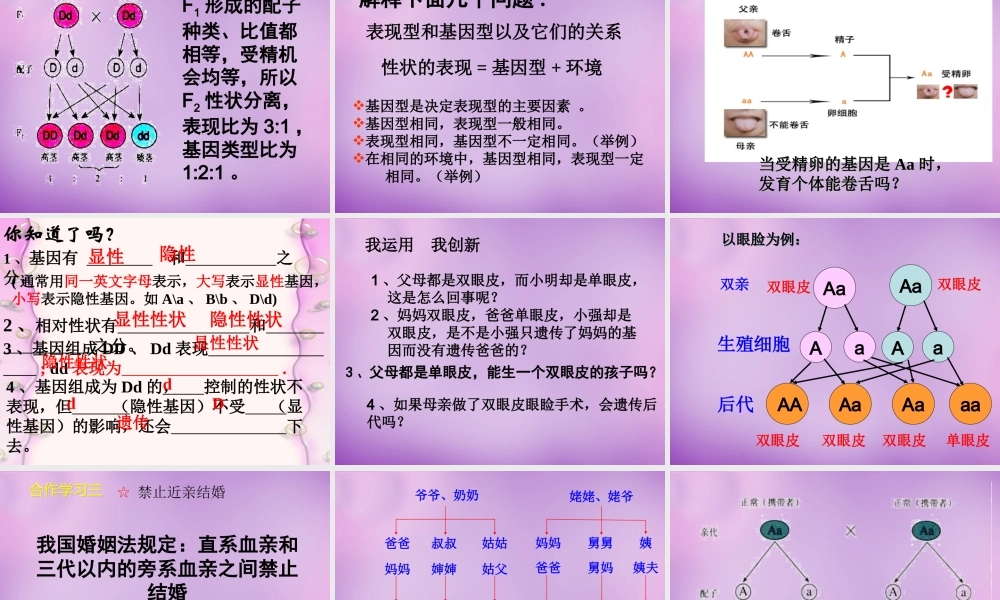 八年级生物下册 第七单元 第二章 第三节 基因的显性和隐性课件 新人教版 课件