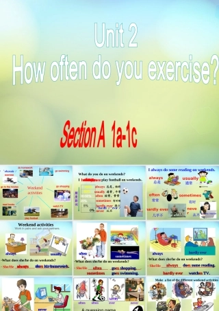 八年级英语上册(Unit 2 How often do you exercise)课件 (新版)人教新目标版 课件