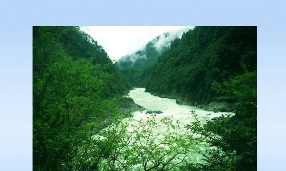 八年级生物下册 生态系统的组成 食物链和食物网课件 济南版 课件