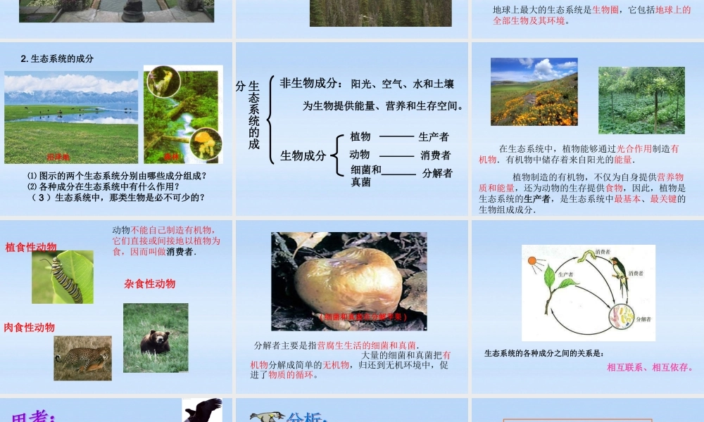 八年级生物下册 生态系统的组成 食物链和食物网课件 济南版 课件