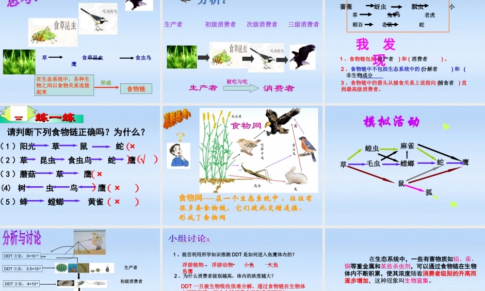 八年级生物下册 生态系统的组成 食物链和食物网课件 济南版 课件