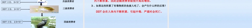 八年级生物下册 生态系统的组成 食物链和食物网课件 济南版 课件