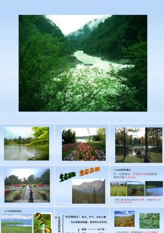 八年级生物下册 生态系统的组成 食物链和食物网课件 济南版 课件