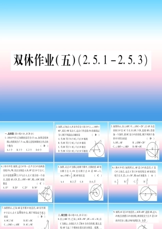 九年级数学下册 双休作业(五)作业课件 (新版)湘教版 课件