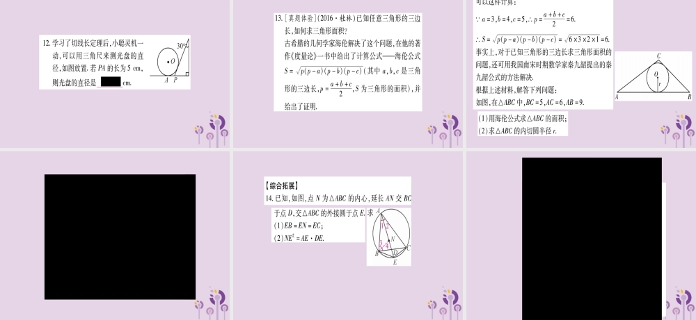 九年级数学下册 第2章 圆 25 直线与圆的位置关系 254 三角形的内切圆作业课件 (新版)湘教版 课件