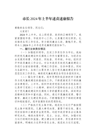 市长2024年上半年述责述廉报告