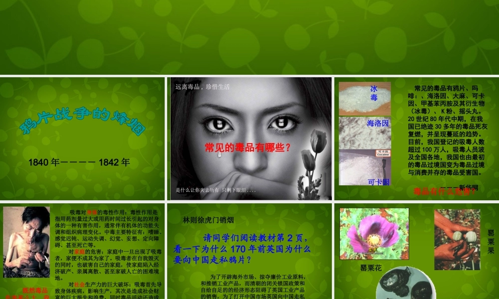 中学八年级历史上册 第1课 鸦片战争的烽烟课件 北师大版 课件