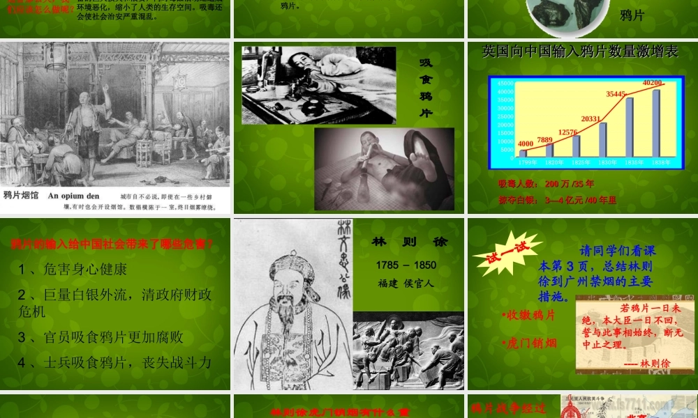 中学八年级历史上册 第1课 鸦片战争的烽烟课件 北师大版 课件
