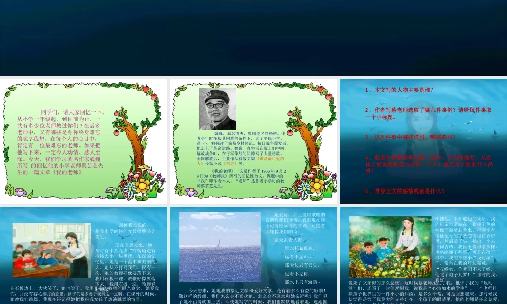 七年级语文我的老师课件4 语文版 课件