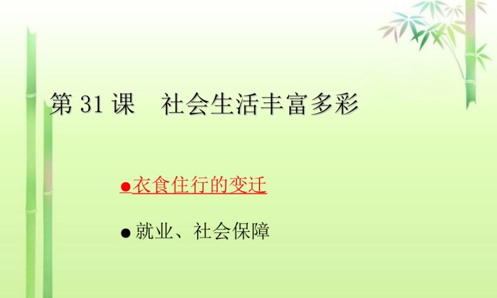 八年级历史下册(第31课 社会生活丰富多彩)课件 新人教版 课件