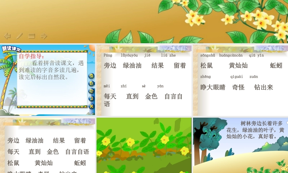 《小松鼠找花生果》课件PPT[1]