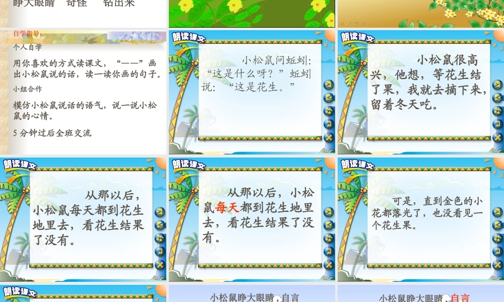 《小松鼠找花生果》课件PPT[1]