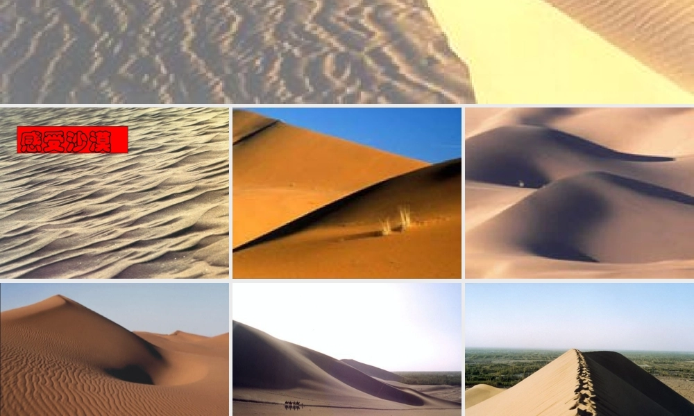 《沙漠里的奇怪现象》课件8