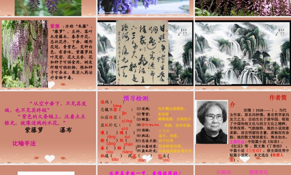 八年级语文下册 第5课 紫藤萝瀑布课件 苏教版 课件