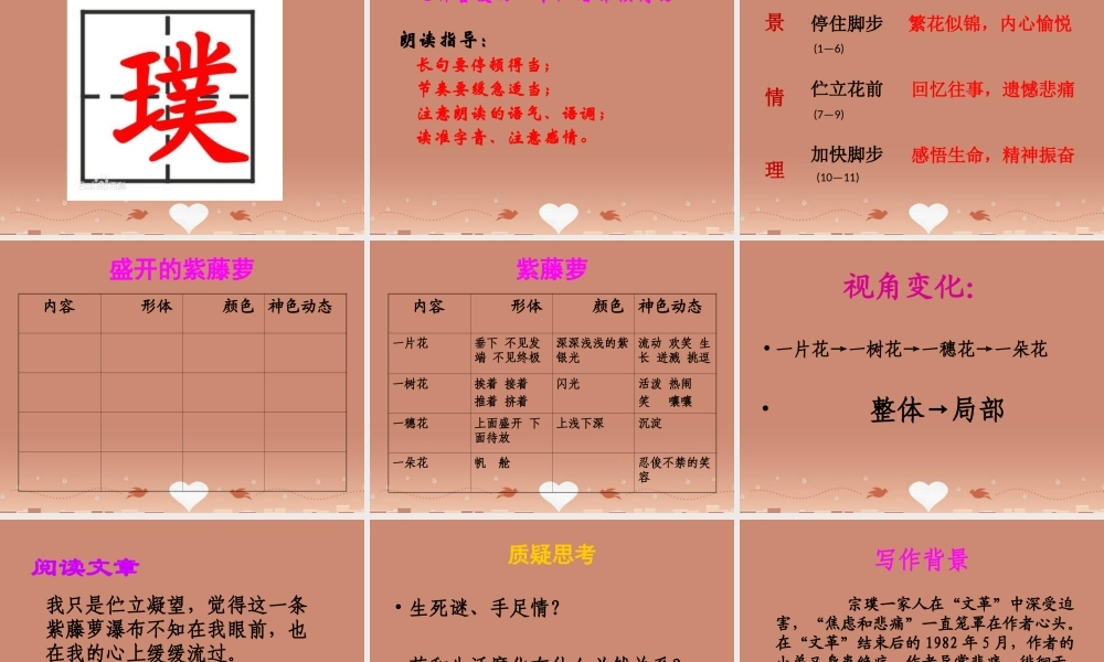 八年级语文下册 第5课 紫藤萝瀑布课件 苏教版 课件