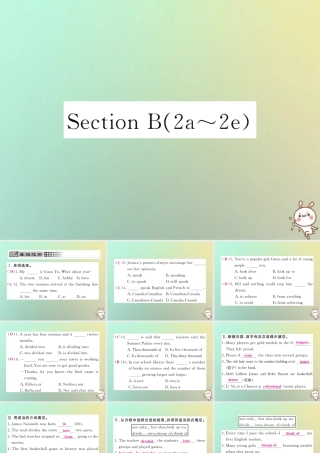 九年级英语全册 Unit 6 When was it invented Section B(2a 2e)课时检测课件 (新版)人教新目标版 课件