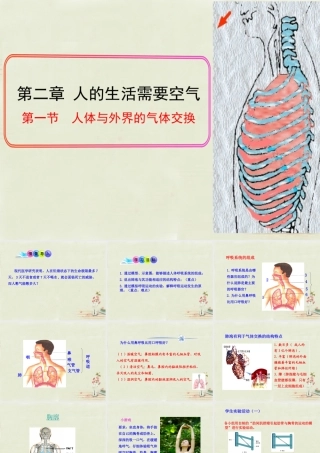 七年级生物下册 3.2.1 人体与外界的气体交换课件(1)(新版)济南版 课件