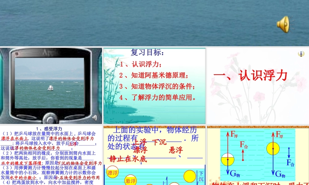 弦月物理 浮力复习公开课课件