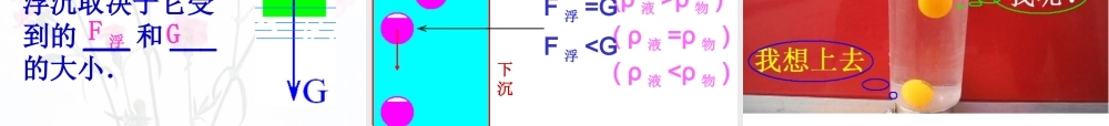 弦月物理 浮力复习公开课课件